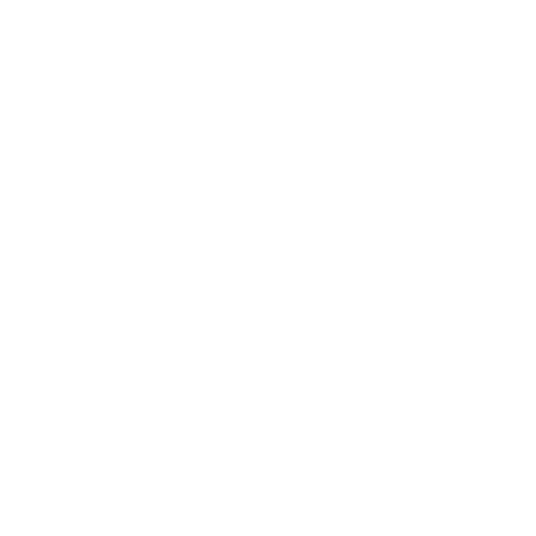 tiny snowflake